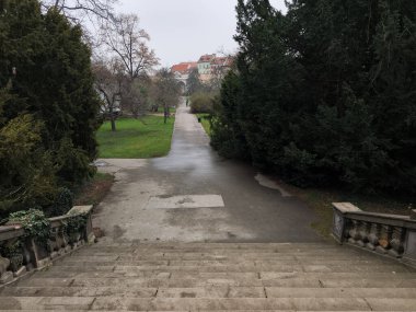 Prag, Çek Cumhuriyeti - 26 Mart 2025: Prag, Czechia 'da çıplak ağaçlar ve bulutlu gökyüzü ile birlikte bir vojan bahçesinden asfalt bir yola çıkan taş bir merdivenin editoryal görüntüsü