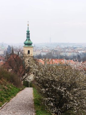 Prag, Çek Cumhuriyeti - 26 Mart 2025: Çiçek açan ağaçlar bir kilise kulesine doğru uzanan kaldırım taşından bir yol çiziyor, Prag şehri Petrin bahçelerinden görülebiliyor.