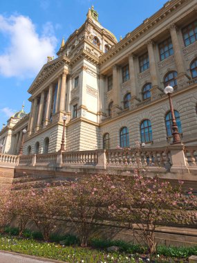 Prag, Çek Cumhuriyeti - 25 Mart 2025: Prag, Czechia 'daki ulusal müzenin cephesi, mavi gökyüzüne karşı yükselir, ön planda çiçek açan çalılarla ılık bahar güneşinde yıkanır.