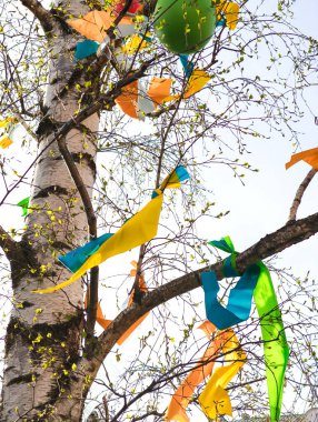 Prag 'da Paskalya kutlamaları için renkli kurdeleler ve balonlarla süslenmiş huş ağacı, şehre şenlikli bir neşe katıyor.