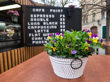 Prag, Çek Cumhuriyeti - 10 Nisan 2025: Prag 'da bir kafe noktasının dışındaki ahşap bir masada oturan beyaz tenceredeki renkli hanım evlatları, kentsel ortama biraz bahar katıyor.