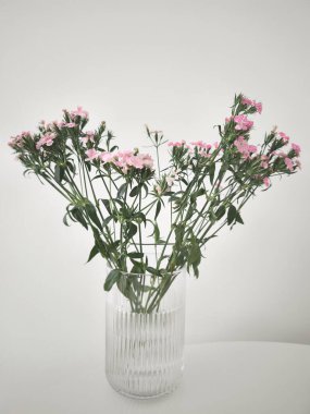 Zarif pembe karanfiller şık bir cam vazoya yerleştirilmiş, temiz beyaz bir yüzey fotokopi alanı üzerinde zarafet yaratıyor.