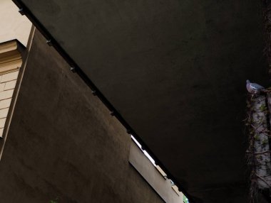 Güvercin, köprünün altındaki sarmaşıklarla kaplı beton bir sütuna tünemiş. Doğa ve kentsel mimarinin zıtlığını yaratıyor.