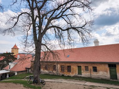 Brno, Çek Cumhuriyeti - 5 Nisan 2025: Veveri Kalesi 'nin tarihi binalarının yakınlarındaki çıplak bir ağacın altında, doğanın ve tarihin brno, czechia' daki karışımını gösteren iki bisiklet dinleniyor.