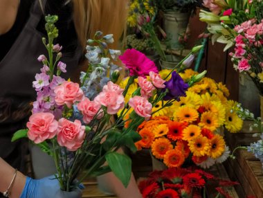 Çiçekçi mavi eldivenler giyip bir buket pembe karanfil, dehlizler ve çiçekçi dükkanında renkli gerberalar hazırlıyor.