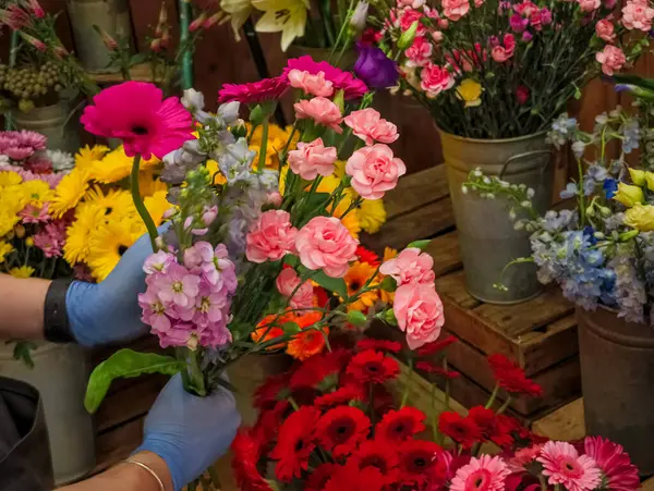 Mavi eldivenli bir çiçekçi. Gerbera, karanfil ve Delphinium gibi renkli çiçeklerle dolu bir buketi ustaca düzenliyor.