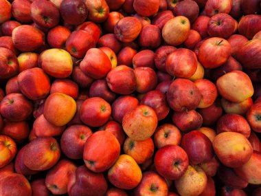 Taze toplanmış kırmızı elmalar, Prag, Çek Cumhuriyeti Holesovice pazarı, duvar kâğıdı, fotokopi alanı gibi ülkelerde doğanın cömertliğini gösteren canlı bir görüntü oluşturur.
