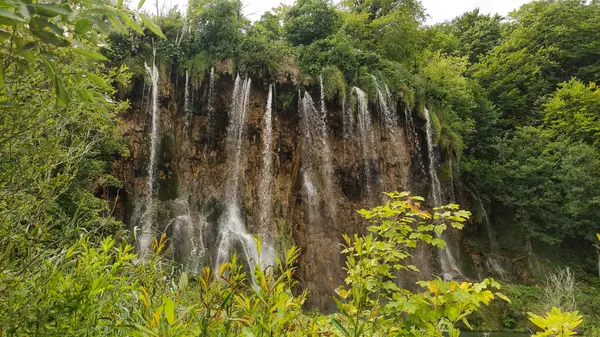 Çarpıcı şelaleler, Hırvatistan 'daki Unesco dünya mirası alanı olan Plitvice Gölleri Ulusal Parkı' nda yemyeşil ile çevrili bir uçurumdan aşağı dökülüyor.