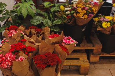 Kahverengi kağıda sarılı renkli karanfil buketleri bir çiçekçide satılığa çıkartılır. Birilerinin gününü aydınlatmaya hazırdırlar. Anneler Günü.
