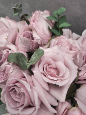 Yumuşak pembe güller ve okaliptüs yapraklarının yer aldığı bir gelin buketinin kapağı, düğün kutlaması duvar kağıdının arka plan fotokopi alanının güzelliğini ve romantizmini yakalıyor.