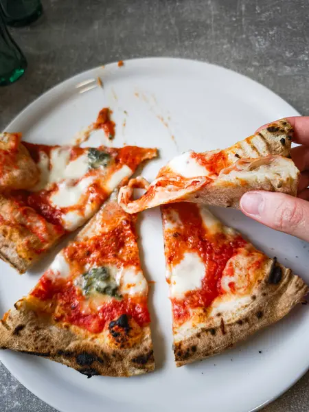 Bir tabağa yerleştirilmiş pizza dilimleri, eritilmiş dört peynir ve taze malzemeler, davetkar ve iştah açıcı, tek başına paylaşmak ya da zevk almak için mükemmel, enfes bir yemek deneyimi. Boşluğu kopyala