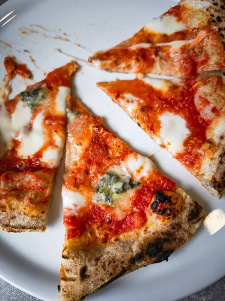 Dört peynirli ve soslu pizza dilimleri bir tabağa konur. Mutfak lezzetinin altını çizer. Kıtır kıtır ekmek ve canlı malzemeler iştah açıcı bir görsel deneyim yaratıyor. Boşluğu kopyala