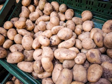 Bir sepetteki taze biçilmiş patateslerin toprak dokusunu ve eşsiz şekillerini vurgulayarak organik üretimin ve besleyici gıdanın özünü somutlaştırır.