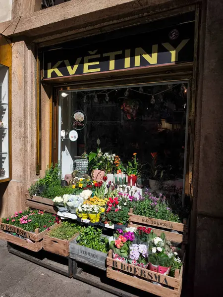 Prag, Çek Cumhuriyeti - 30 Nisan 2025: Prag, Czechia 'daki bir çiçekçinin önünde renkli çiçekler sergilenerek, canlı ve davetkar bir sahne yaratıldı