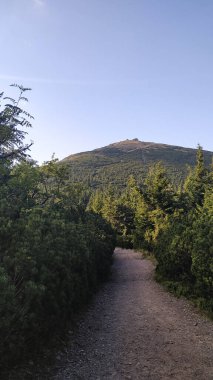 Çakıl yolu, bereketli dağ çam ormanları boyunca esiyor. Ağustosta Czechia ile Polonya arasındaki sınırı işaret eden Snapka Zirvesi 'ne doğru.