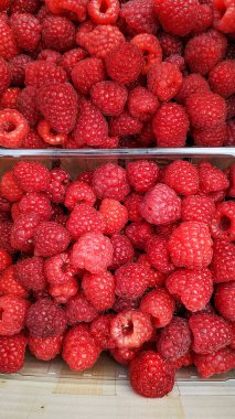 Olgun ahududular, taze toplanmış ve şeffaf plastik kaplarda sergileniyor, canlı kırmızı renkleri ve sulu dokuları sergileniyor.