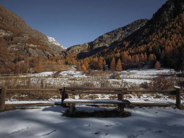 Sonbahar manzarası canlı turuncu yaprakları, karlı araziyi, alp tepeleri vadi d 'aosta' nın nefes kesici dağ manzarasını gözler önüne seriyor Frazionne Lillaz