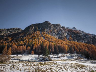 İtalya 'nın Aosta kenti yakınlarındaki kayalık araziyi kaplayan sonbahar renkleri, sonbahar sezonunun sonlarında açık gökyüzü altında parlayan karlı dağ zirveleri Frazionne Lillaz