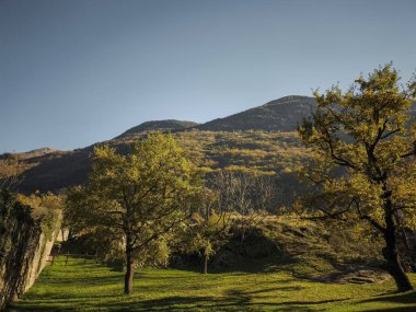 Aosta Vadisi 'nde sonbahar manzarası, sıcacık güneş ışığıyla yıkanan yeşil araziyi vurguluyor, altın yapraklı mevsimlik dağ manzarasını sergiliyor.