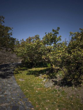 Aosta, İtalya 'da güneşli bir yol, açık mavi gökyüzünün altında gür sonbahar yapraklarıyla çevrili, Kasım sükuneti Verres' in özünü yakalıyor.