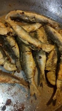 Bibione yaz mutfağından geleneksel İtalyan sahil mutfağını temsil eden dökme demir tavada cızırdayan çıtır altın sardalyalar. Yüksek kaliteli FullHD görüntüler