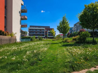 Prag, Çek Cumhuriyeti - 1 Mayıs 2025: Çağdaş binaların arasında barışçıl ve doğal bir ortam sunan karahindiba çiçekli yemyeşil çayır