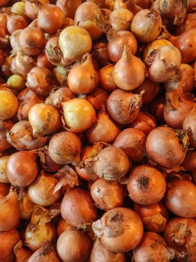 Olgun soğanların çoğu bir araya toplanıyor ve bu da, yoğun bir pazarda satılmaya hazır, dünyevi tonları ve kağıt derileriyle göz alıcı bir görüntü yaratıyor.