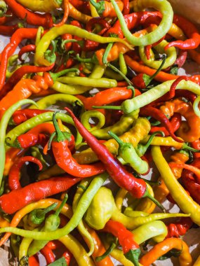 Kırmızı, turuncu, sarı ve yeşil biber karışımı çeşitli şekil ve boyutlarda sergileniyor, her türlü mutfak yaratımında lezzet ve baharat patlaması vaat ediyor.