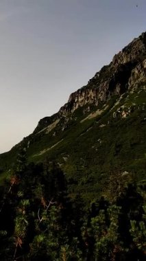 Yoğun bir ormandan yüksek Tatry Rysy dağlarının çarpıcı manzarası.