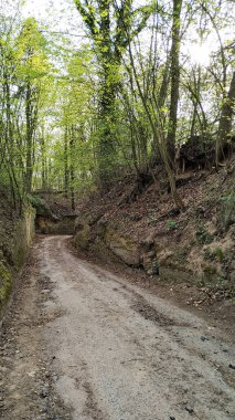 Tupadly, Czech cumhuriyetindeki canlı yeşil bir ormandan geçen dolambaçlı toprak yolun manzarası keşif ve maceraya davetiye çıkarıyor. Nisan 'da