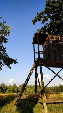 Ahşap av kulesi, temiz mavi gökyüzünün altındaki bir tarlaya bakan, Czech kırsalında dimdik ayakta duruyor.
