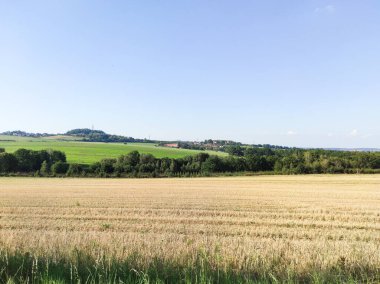 Altın buğday tarlası ön planda uzanır, yemyeşil çayırlar, ağaçlar ve yuvarlanan tepeler tarafından desteklenir Bölünmüş mavi bir gökyüzü altında, Şövalyenin Czechia Patikası