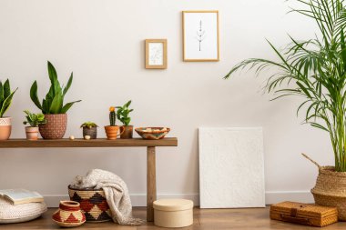 Zarif ve boho oturma odası ahşap bank, bir sürü bitki, kaktüs, kitaplar, sepetler, fotoğraf çerçeveleri, halı ve kişisel aksesuarlar. Sıcak ev dekorasyonu. Şablon.