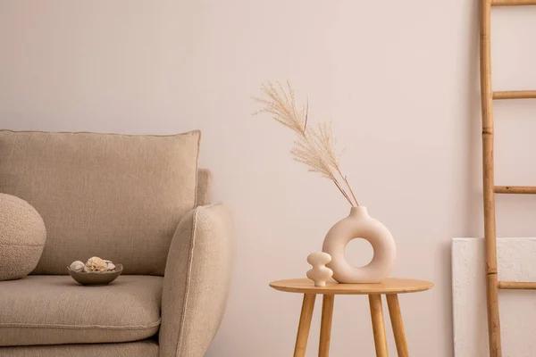 Interior Design Cozy Living Room Classic Beige Sofa Wooden Coffee — Stok fotoğraf