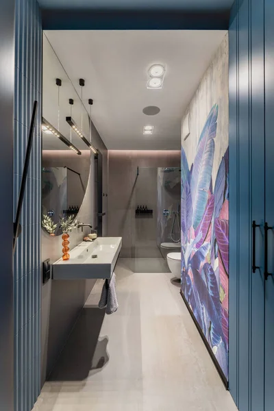 Interior Design Bathroom Interior Colorful Wallpaper Big Mirror Silk Toilet — 图库照片