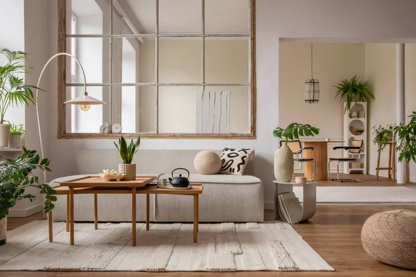 Creative Composition Living Room Interior Modular Sofa Beige Rug Plants — Stok fotoğraf