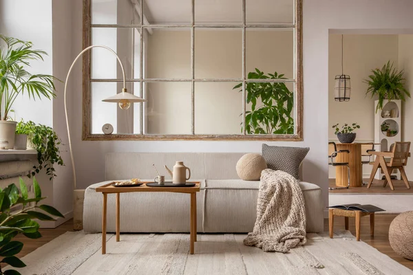 Creative Composition Living Room Interior Modular Sofa Beige Rug Plants — Stok fotoğraf