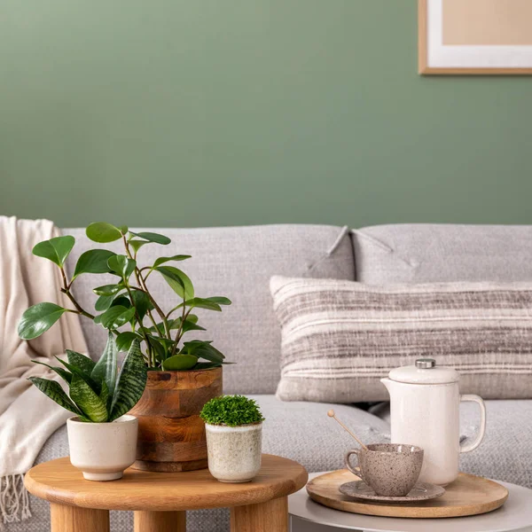 Stylish Composition Cozy Living Room Interior Design Poster Frames Plants — Stok fotoğraf