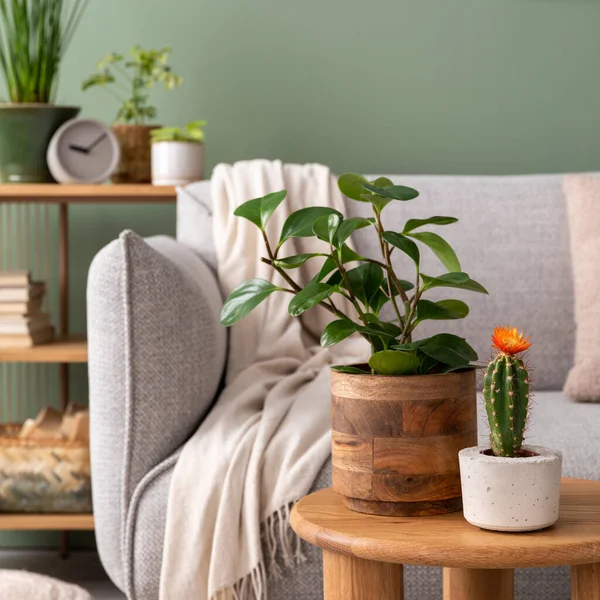 Stylish Composition Cozy Living Room Interior Design Poster Frames Plants — Stock Photo, Image