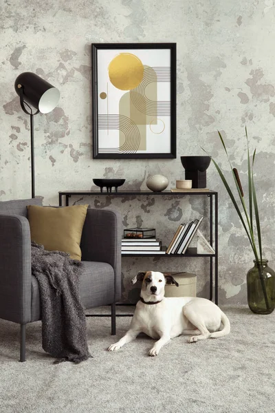 客厅内部的独立构成与模拟海报框架 灰色扶手椅与格子花和枕头 咖啡桌 狗和个人配件 家居装饰 — 图库照片