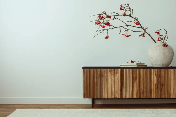 Asthetic Composition Japandi Living Room Interior Copy Space Wooden Sideboard — Fotografia de Stock