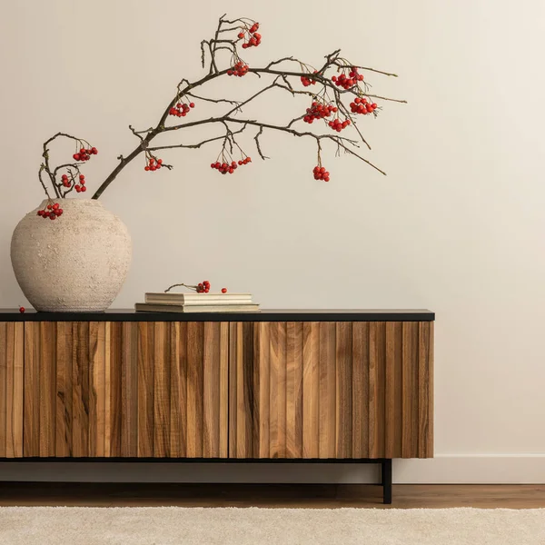 Asthetic Composition Japandi Living Room Interior Copy Space Wooden Sideboard — 스톡 사진