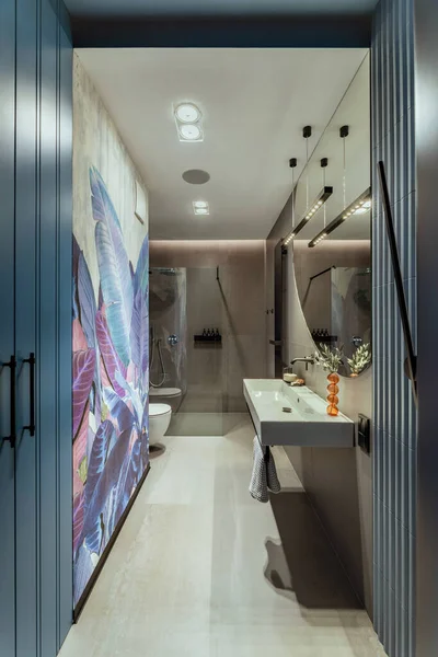 Interior Design Bathroom Interior Colorful Wallpaper Big Mirror Silk Toilet — стоковое фото