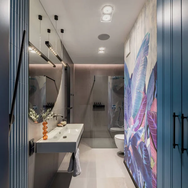 Interior Design Bathroom Interior Colorful Wallpaper Big Mirror Silk Toilet — 图库照片