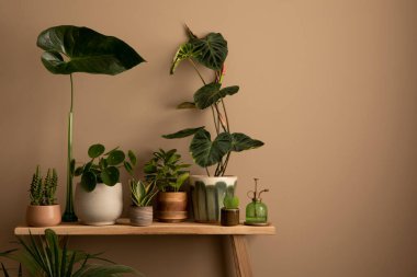 Sıcak oturma odasının estetik yapısı fotokopi alanı, şık ahşap bank, saksıda bitkiler, kahverengi duvar, cam çiçek fıskiyeleri ve kişisel aksesuarlar. Ev dekoru. Şablon.