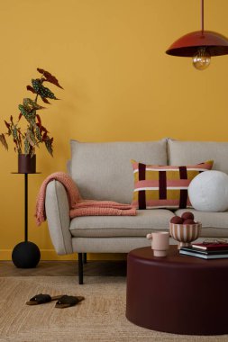 Ilık ve rahat bir oturma odası. Poster çerçevesi, bej kanepe, burgund kahve masası, şık bir lamba, saksı, halı, terlik ve kişisel aksesuarlar. Ev dekoru. Şablon.