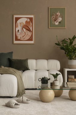 Şık kanepe ve halısı olan modern odanın iç tasarımı.