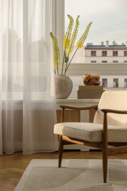 Güneş ışığıyla aydınlatılmış köşe, orta çağ modern koltuk, döşeme dokusu ve ahşap döşeme. Doğal ışık sıcak ortamı güçlendirir..