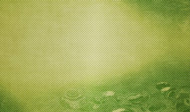 Parti, Yıldönümü, Doğum Günleri, Bayram, Sevgililer Günü ya da Düğün Davetiyeleri için yeşil afiş mükemmel. Metin için boş alan