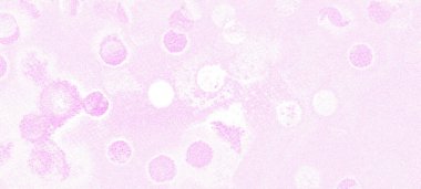 Banner, Poster, kutlama, olay ve çeşitli tasarım çalışmaları için pembe bokeh geniş ekran arkaplanı